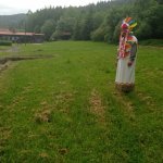 phoca_thumb_m_vp - tet den 25 Fotogalerie